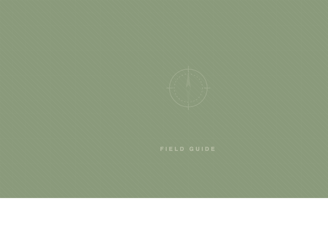 Field Guide pattern - sage with compass icon
